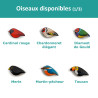 Tous les oiseaux disponibles (1/3)