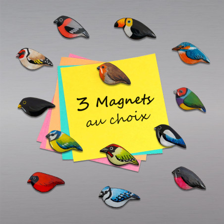 Lot de 3 magnets oiseaux