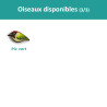 Tous les oiseaux disponibles (3/3)
