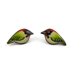 European green woodpeckers ear studs