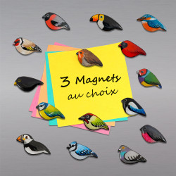 Set of 3 birds magnets