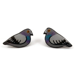 Puces d'oreilles pigeons biset