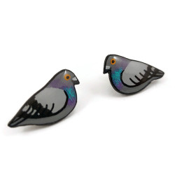 Puces d'oreilles pigeons biset