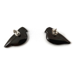 Puces d'oreilles pigeons biset