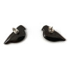 Puces d'oreilles pigeons biset